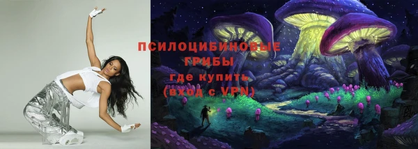 МДПВ Алексеевка